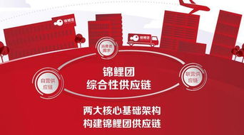 游戏社交电商锦鲤团 日用品购物新体验，真与值得的融合